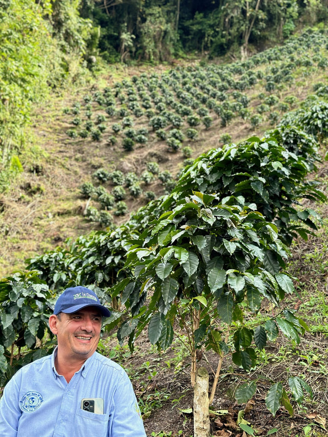 Colombia El Chaferote Pink Bourbon