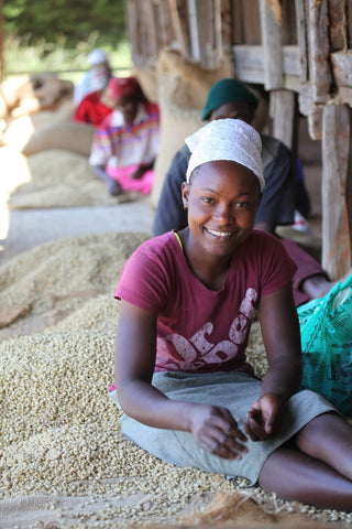 Kenyan Karogoto factory worker sorting raw coffee beans at the processing yard
