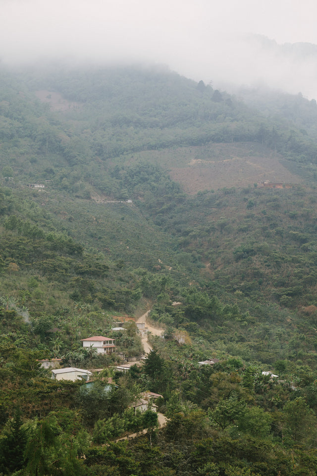 Guatemala | Alma