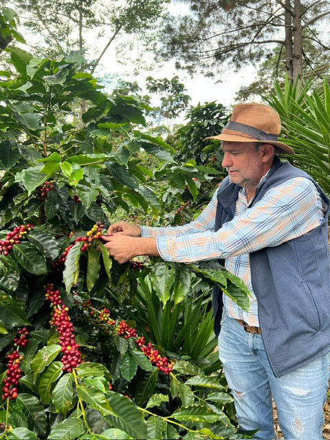 Guatemala La Bella