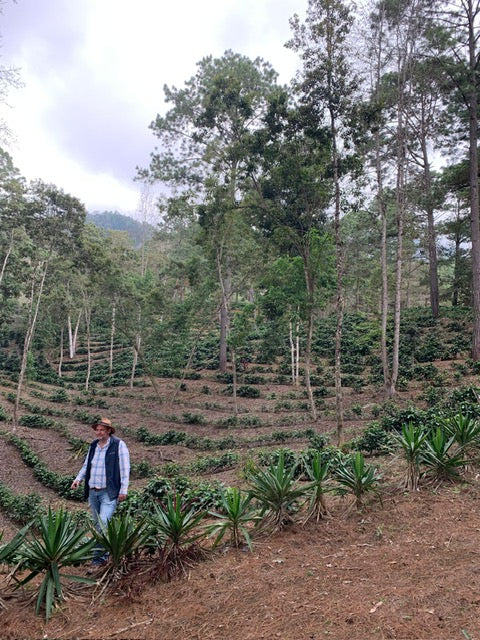 Guatemala La Bella