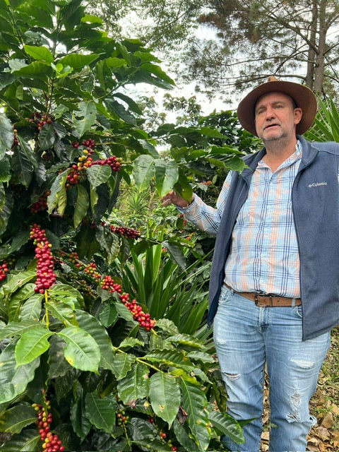 Guatemala La Bella
