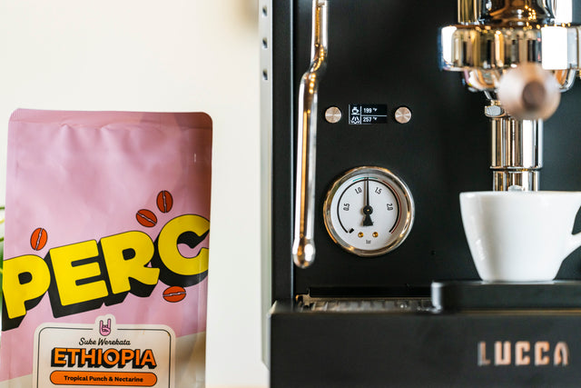 LUCCA M58 Sunto dual boiler espresso machine close up with portafilter and OLED display