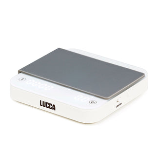 LUCCA Precision Scale with gray top panel and OFF/ON switch visible on the side