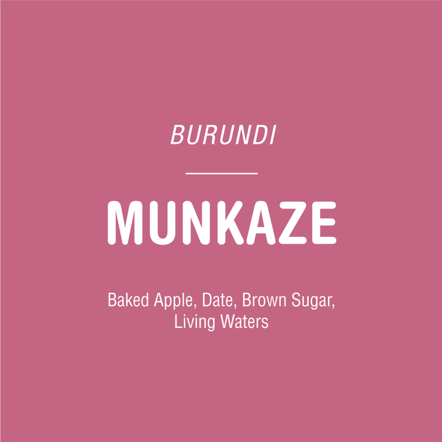 Burundi Munkaze coffee label on pink backdrop listing flavor notes baked apple date brown sugar living waters