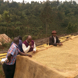 Men stand by a large burlap sack of drying coffee beans on a Kenyan hillside plantation