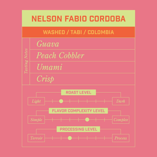 Nelson Fabio Cordoba washed coffee bag from El Silencio Huila on a pink backdrop