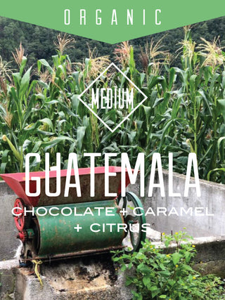 Organic Guatemala Huehuetenango coffee bag design with a medium roast label over a corn field and a vintage pulper.