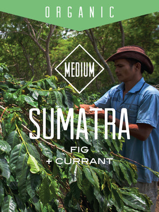 Worker in a Sumatra coffee farm beneath an organic banner with a medium roast badge and notes of fig and currant overlaid