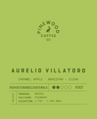 Guatemala Aurelio Villatoro