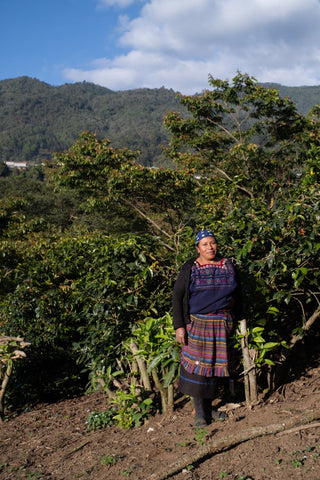 María Velasquez Micro Lot