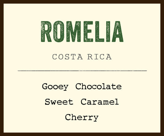 Romelia Costa Rica coffee label card with bold ROMELIA and tasting notes Gooey Chocolate Sweet Caramel Cherry.