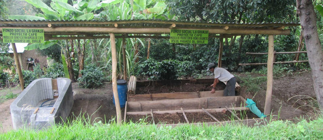 Coffee washing station at a smallholder farm with wooden troughs and a worker tending the beds amid greenery