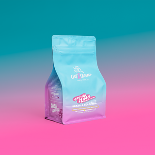 Spring Fling coffee bag in pink and blue packaging displayed on a teal to pink gradient background