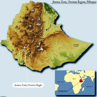 Map of Jimma Zone in Ethiopia with an inset country map marking Limu origin.