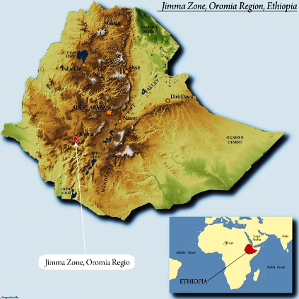 Map of Jimma Zone in Ethiopia with an inset country map marking Limu origin.