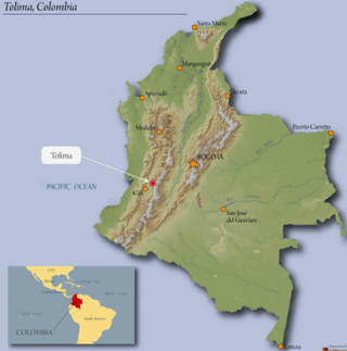 Colombia Tolima coffee region map with marked towns and an inset country view