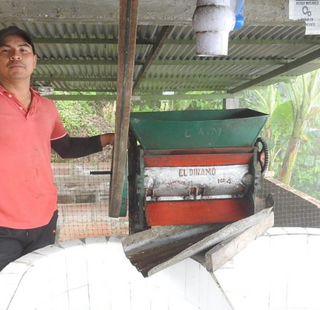 Farmer in a red shirt standing beside a red coffee pulping machine outdoors