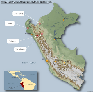 Map of Peru highlighting Norandino coffee regions Piura Amazonas Cajamarca and San Martin with an inset Peru map