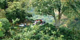 Costa Rica La Minita Tarrazu