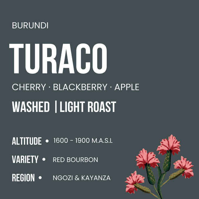 Burundi - Turaco