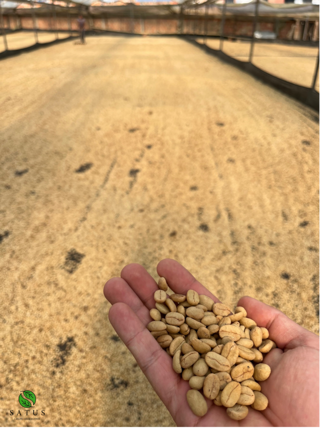 Colombia Vermillion Blaze
