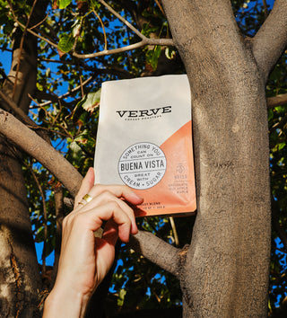 Buena Vista coffee bag held by a hand in a tree, with Verve branding and a circular Buena Vista sticker.