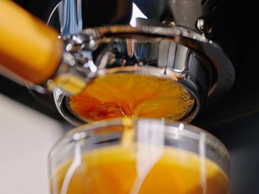 Profitec espresso machine and Eureka grinder