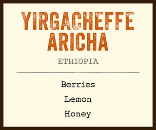 Yirgacheffe Aricha