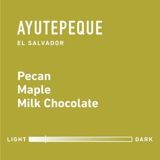 Topeca coffee bag close up showing Pecan Maple Milk Chocolate flavor on an olive background