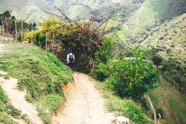 Colombia San Sebastián Reserva