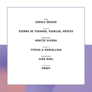 Cafè Feminista info card showing single origin coffee Sierra de Tenango Hidalgo Mexico produced by Montze Olvera with a purple border