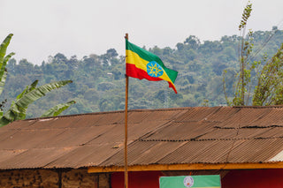 Ethiopian flag waving on a wooden pole beside a rust-colored corrugated roof with forested hills in the distance.