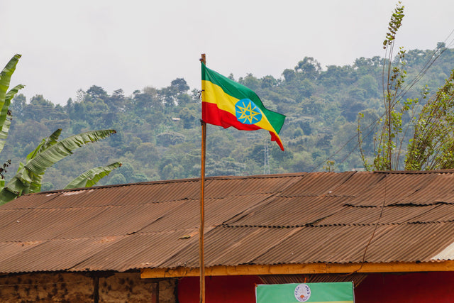 Ethiopia Wuri Yirgacheffe