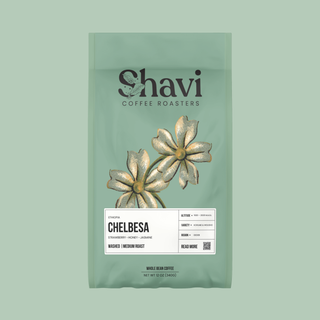 Chelbesa coffee bag by Shavi Coffee Roasters on a mint green background with botanical illustrations