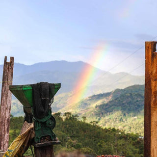 Green coffee grinder mounted on a wooden post with a rainbow over rolling hills