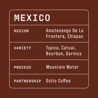 Mexico coffee infographic showing Amatenango de la Frontera Chiapas region with Typica Catuai Bourbon Garnica and Mountain Water processing.