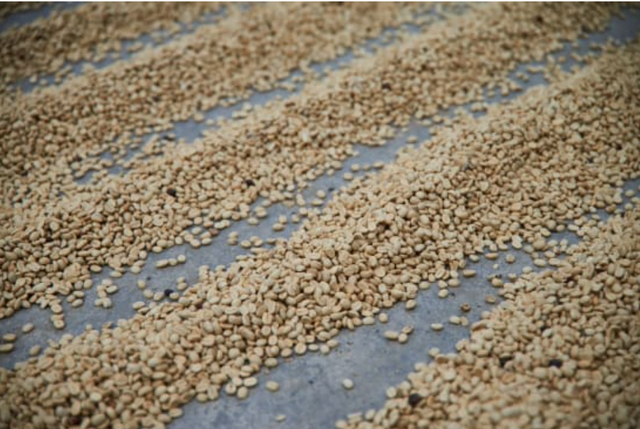 Mexcio Chiapas Decaf