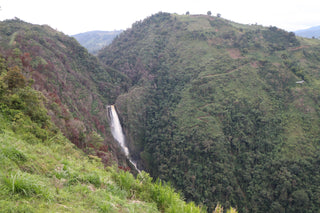 Colombia El Bombo origin landscape with green hills and a waterfall representing coffee growing region