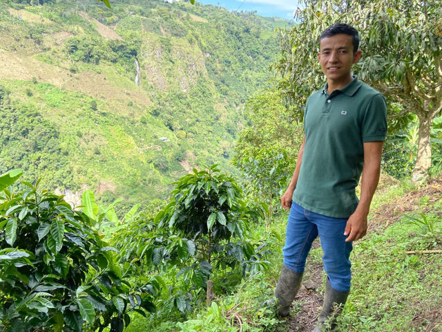 Colombia El Chaferote Pink Bourbon