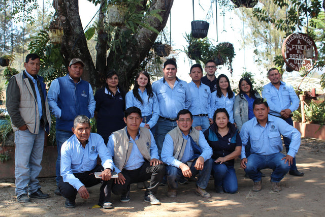 Organic Fair-Trade Guatemala El Volcan