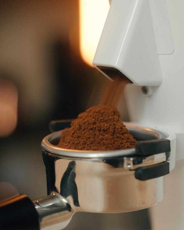 Side view of the Turin DF64 Gen 2.5 grinder with white housing and warm light reflecting off the metal