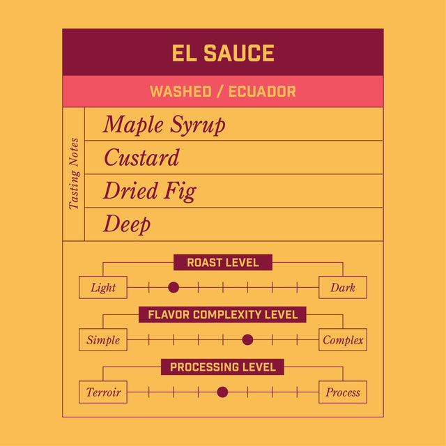 Morningsong El Sauce Washed Ecuador whole bean coffee bag on warm orange backdrop