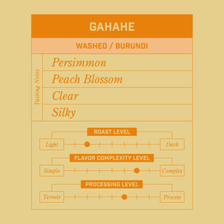 Gahahe Burundi coffee bag featuring washed Burundi and Wintertide seasonal blend label