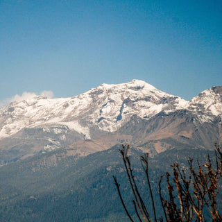 Snowy mountain range under a blue sky with bare branches in the foreground