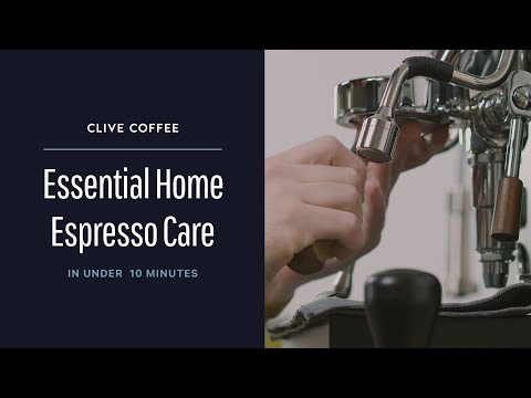Cafetto Milk Frother Cleaning Powder – Clive Coffee