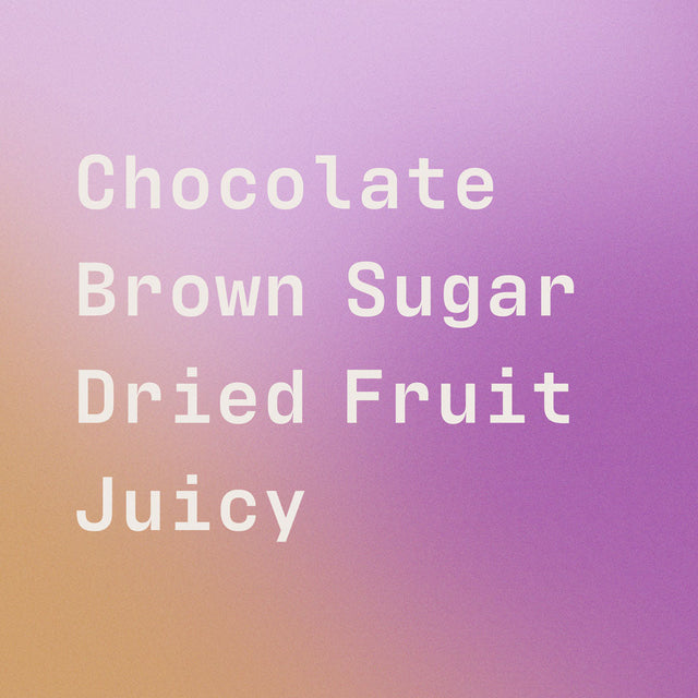 Savio coffee label on purple background highlighting chocolate brown sugar dried fruit and juicy notes.
