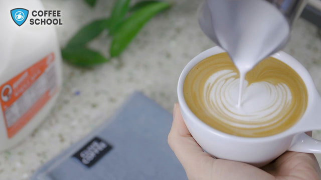 Online Coffee School, Intro to Milk Steaming and Latte Art