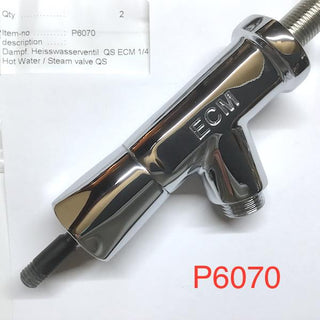 Chrome ECM steam and hot water valve assembly labeled P6070