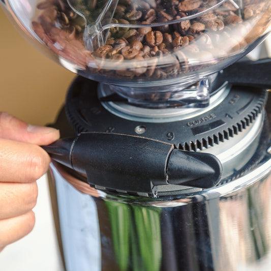 Adjusting the worm gear grind adjustment collar on the Macap M7D conical burr espresso grinder, Clive Coffee - Knockout